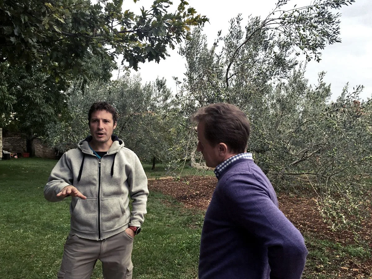 Two men in an olive orchard