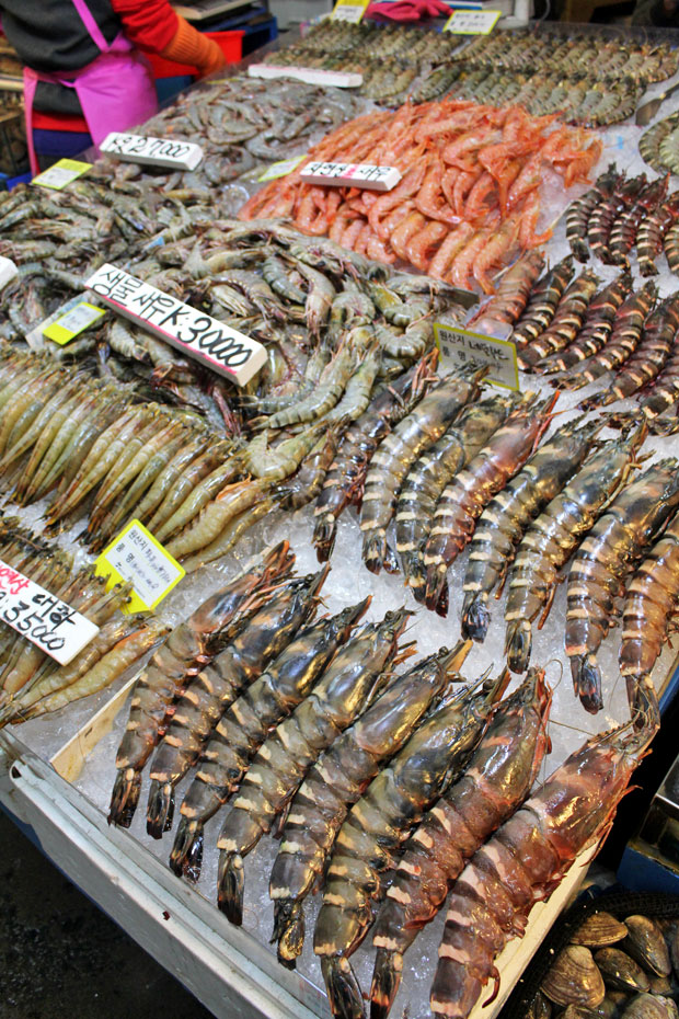 Sannakji: Eating "Live" Octopus at Noryangjin Fish Market ...