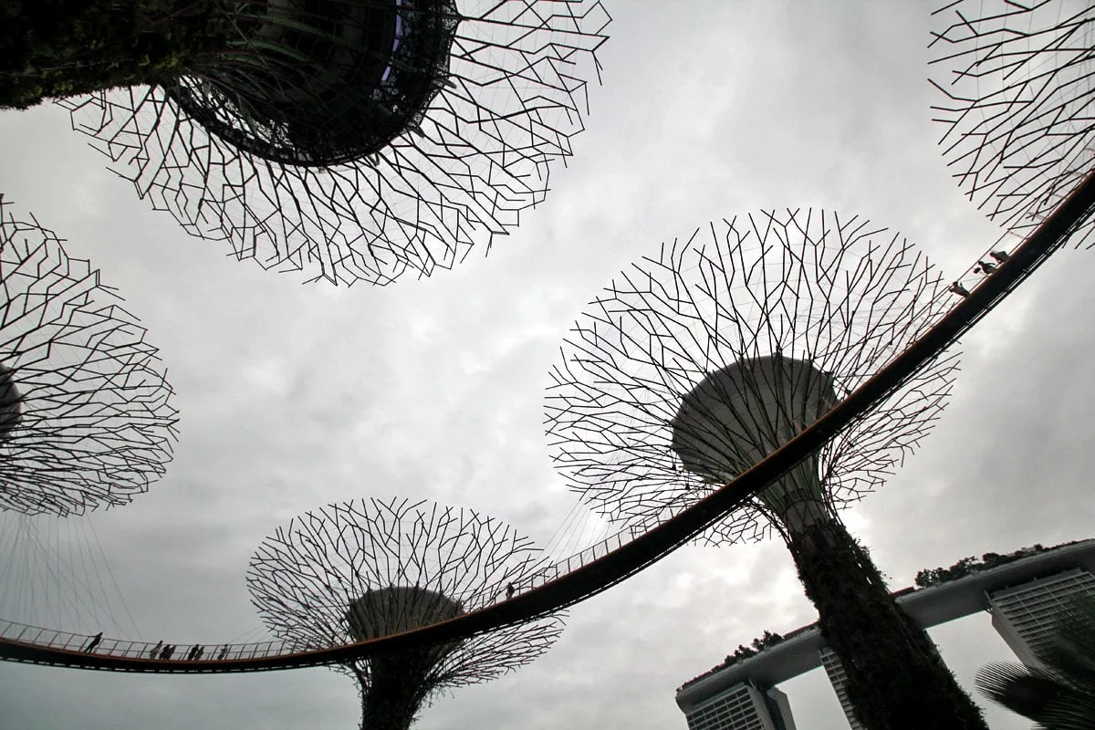 Supertree Grove, Gardens by the Bay, Singapore