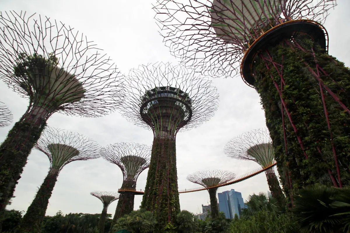 Supertree Grove, Gardens by the Bay, Singapore