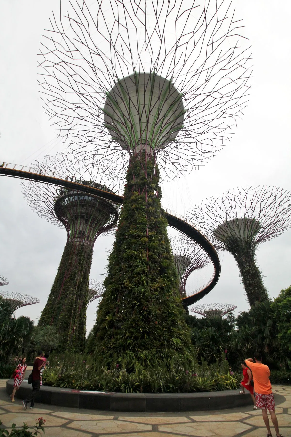 Supertree Grove, Gardens by the Bay, Singapore