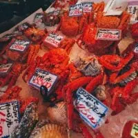 Nijo Market: Where it Sucks to be a Crab in Sapporo, Japan