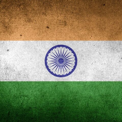 Category: INDIA | Will Fly for Food