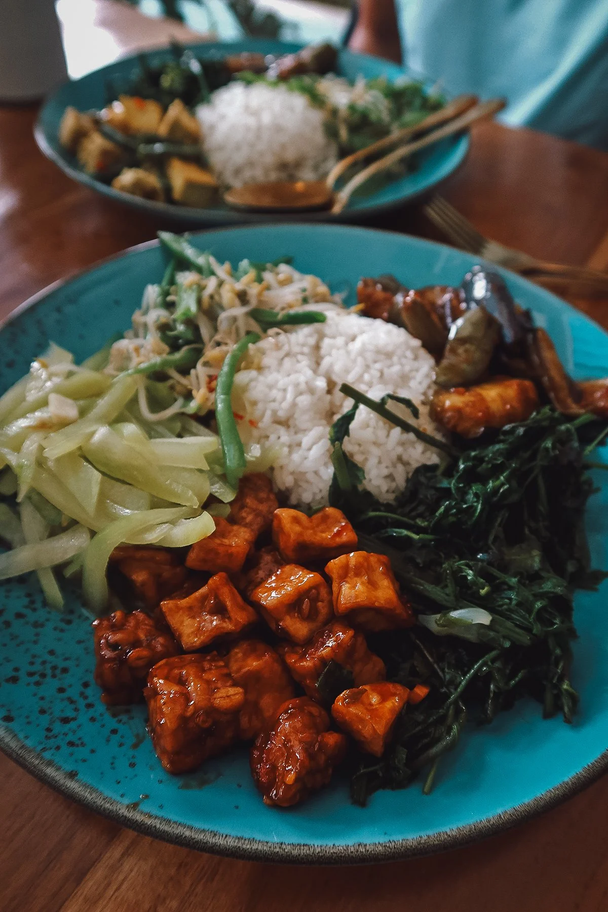 Indonesian food at a restaurant in Ubud